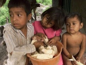 Se estima que al menos 160 mil familias sufren por hambre en Honduras, producto de la sequía.
