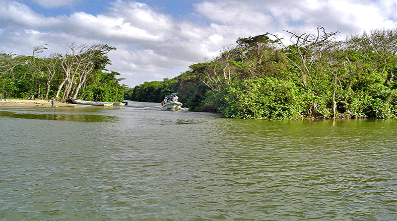 problemática ambiental del Río Plátano