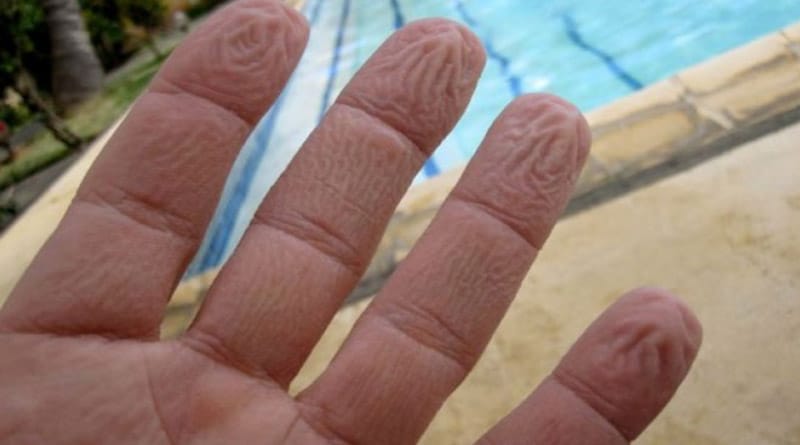 dedos en el agua
