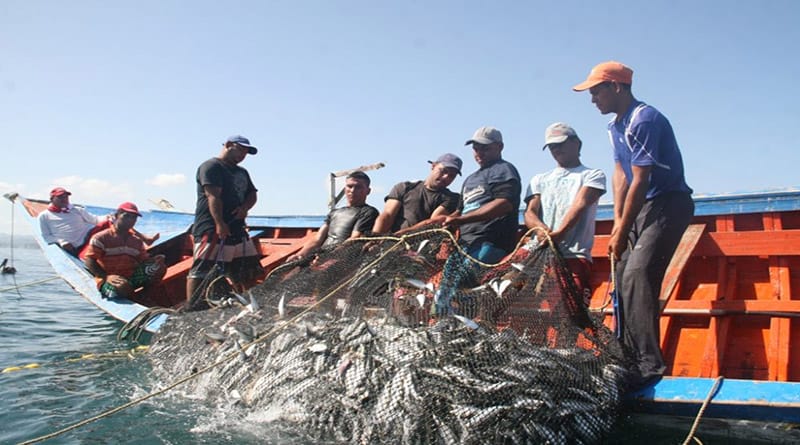 Persisten atropellos a la pesca artesanal en Roatán »