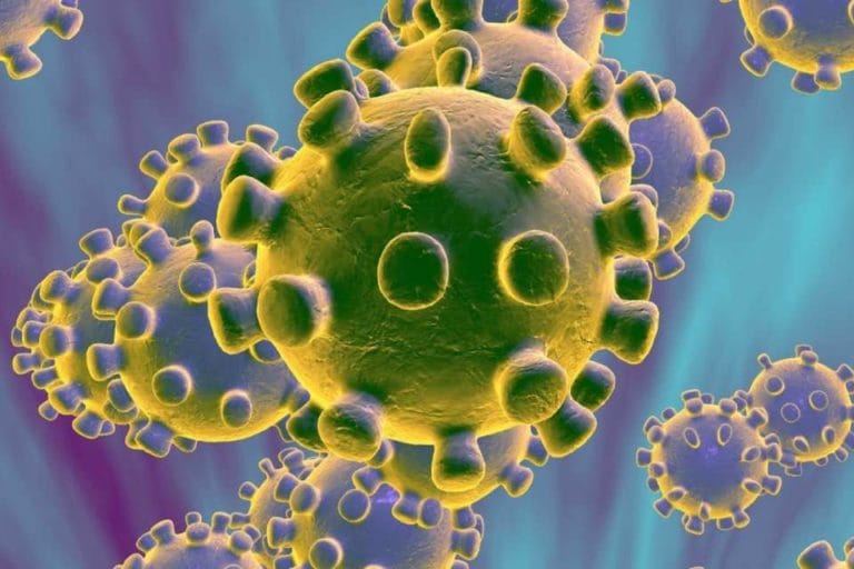 Muertes por coronavirus supera los 6,500