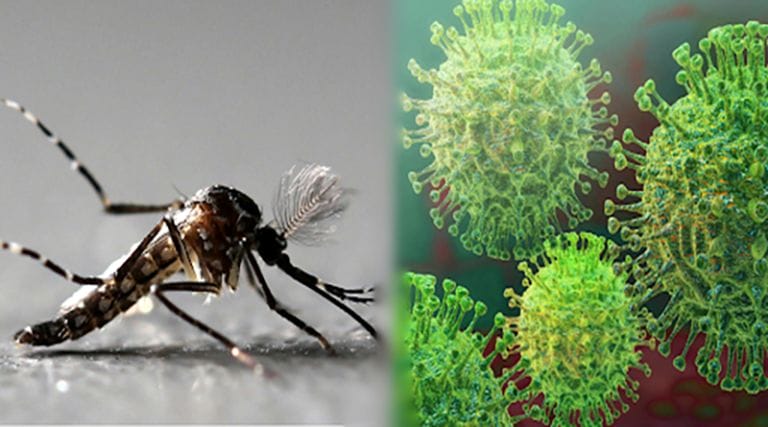 La pandemia, el dengue, fuegos forestales