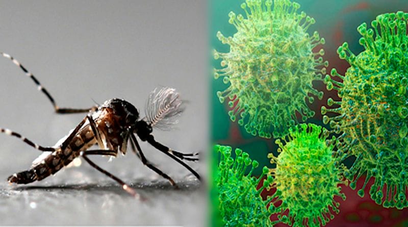 La pandemia, el dengue, fuegos forestales