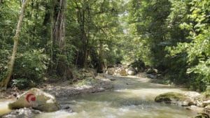 El aguijón del riesgo climático está en la cola